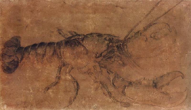 Albrecht Durer A Lobster